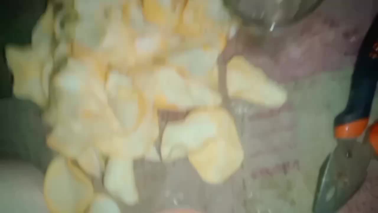 @مسربجي دايح