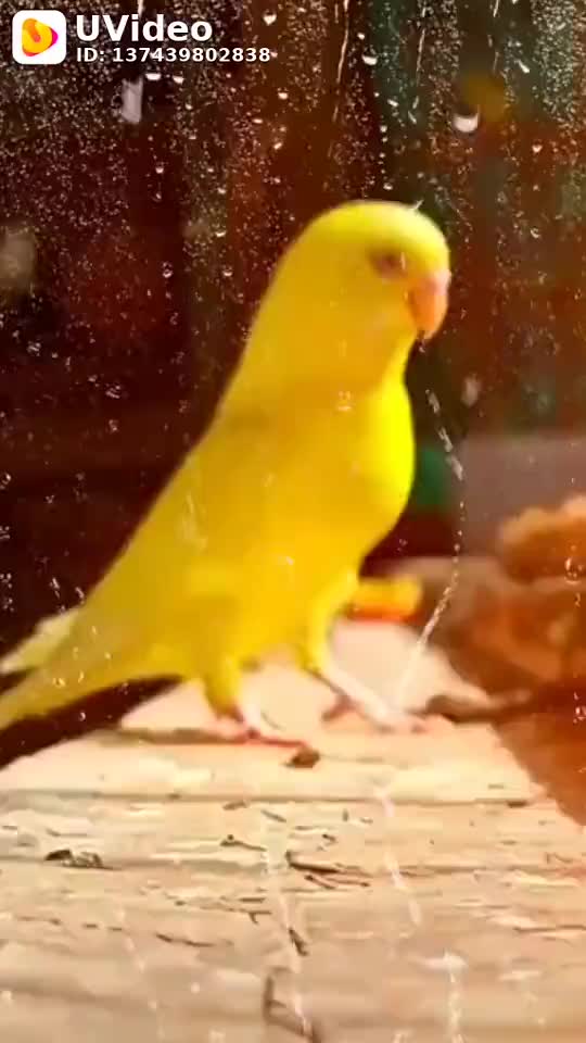 @Sunil ksahyap