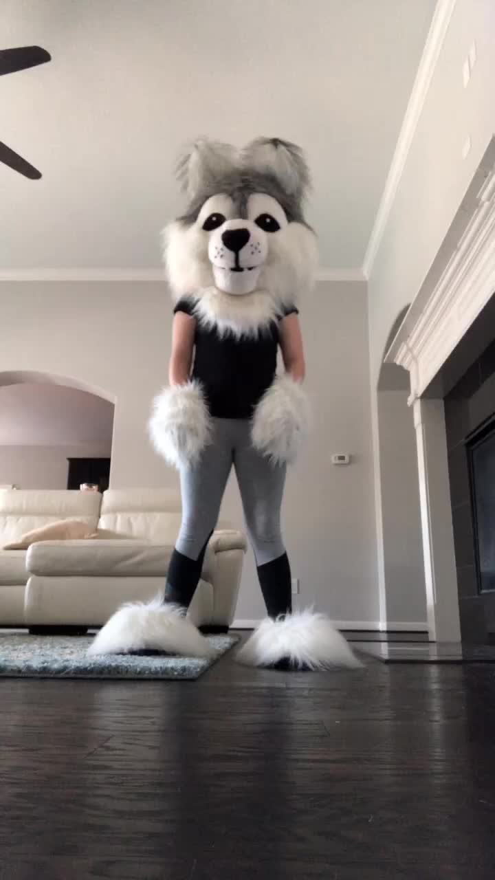 @fursuitwolf111