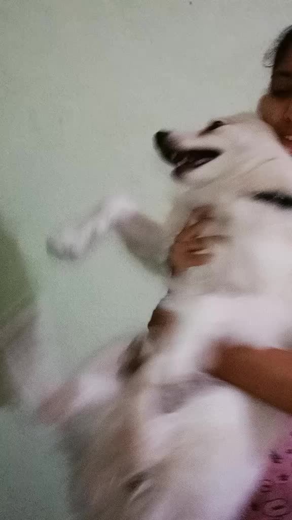 @puppy😍😍