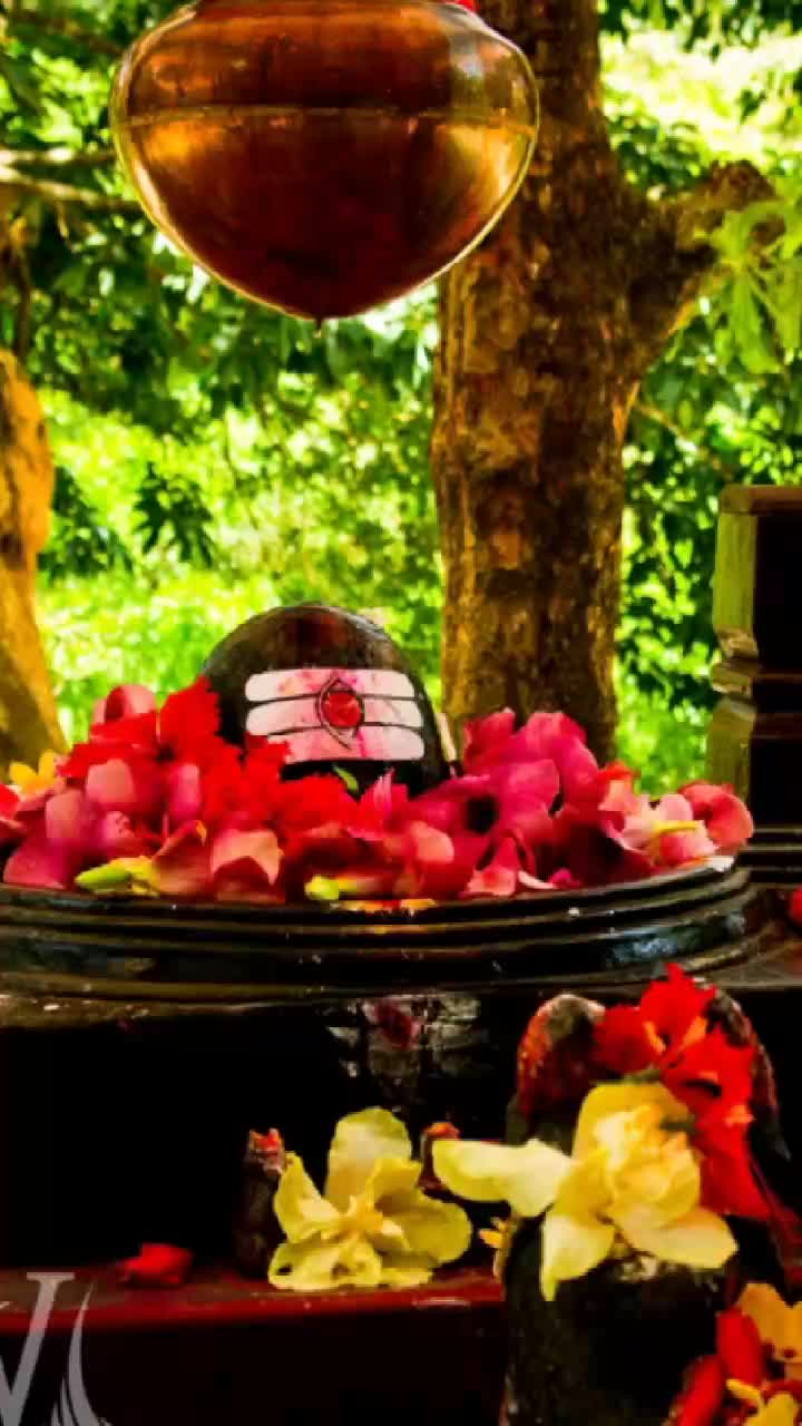 @Saroj Kumar Das