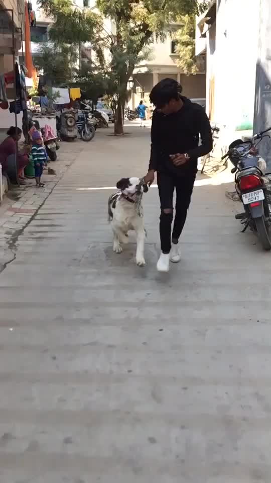 @𝑨𝒏𝒈𝒆𝒍
