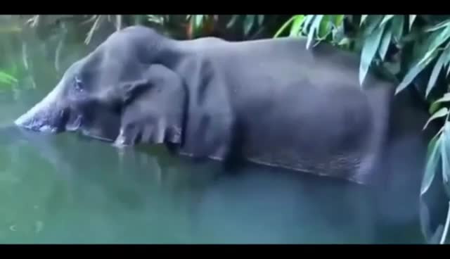 @๐Ñâvèêñ Bhãñkhùkr ?
