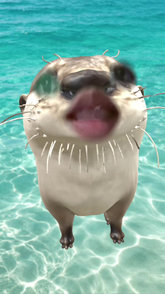 @I love golden retriever twice