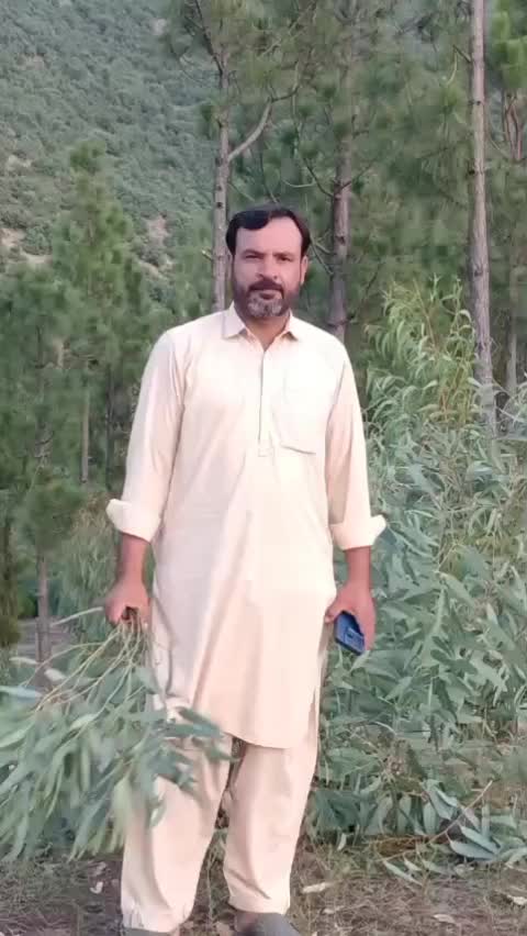 @Akhtarzada tareen 🌹🌹