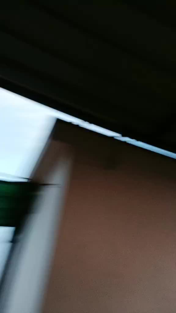 @samseema267