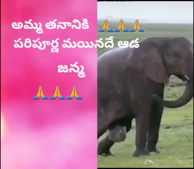 @sri
