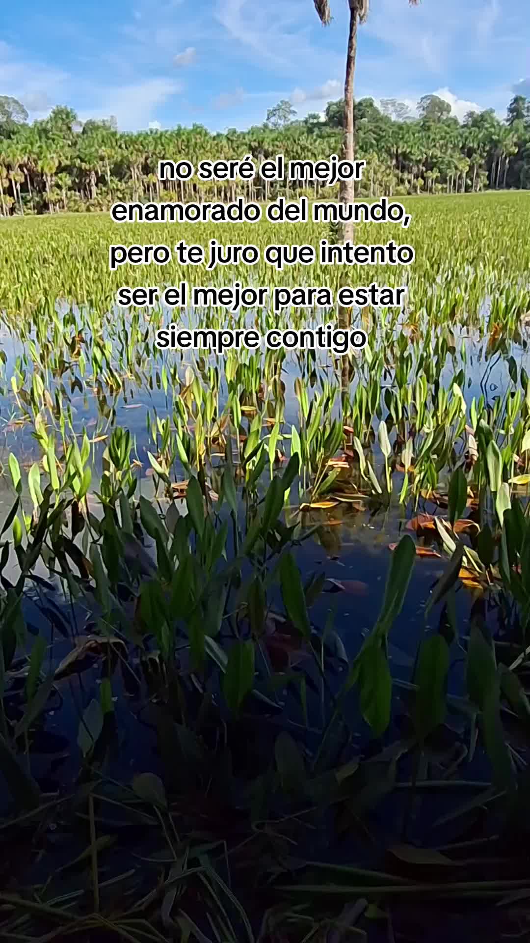 @Howard Cama torres
