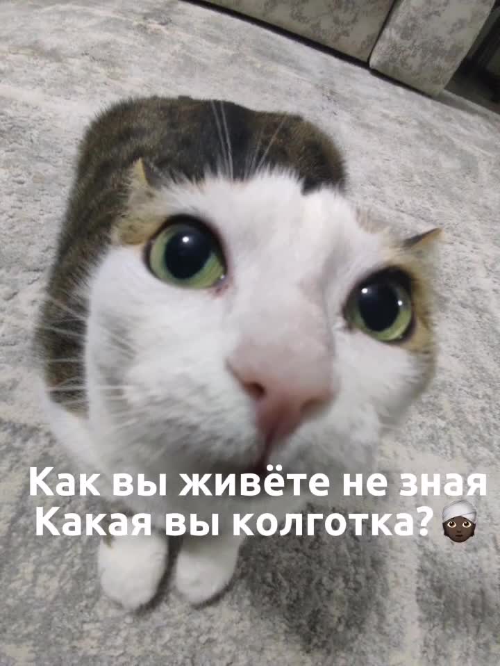 @с вами Верундэло 😼