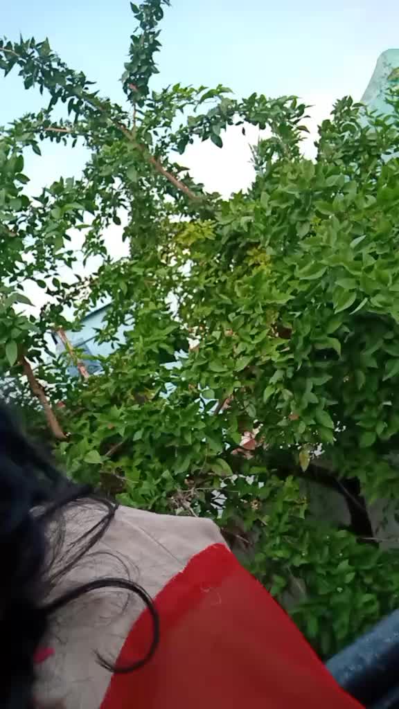@user1648736406569