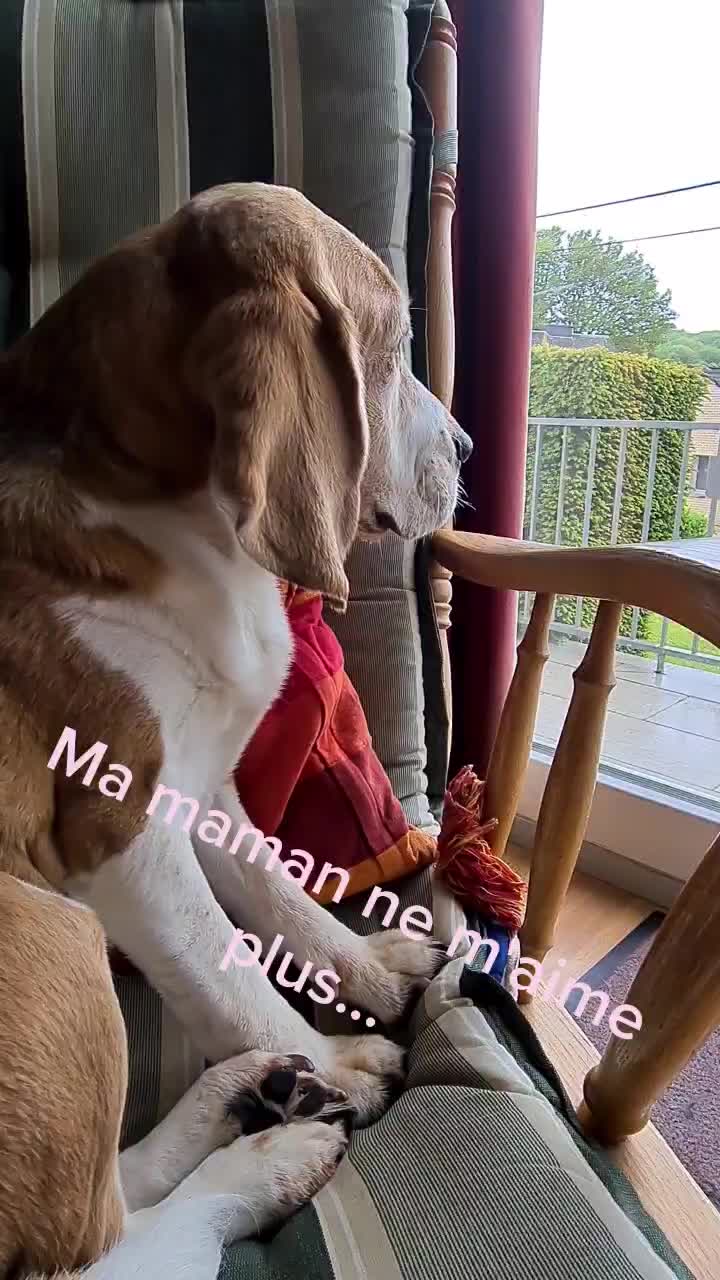 @zeldaline