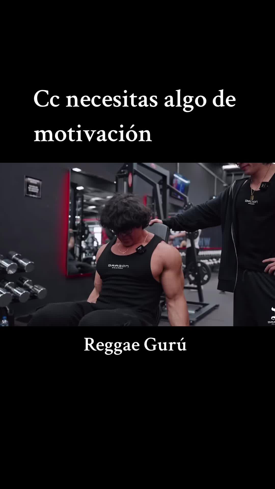 @Reggae Gurú