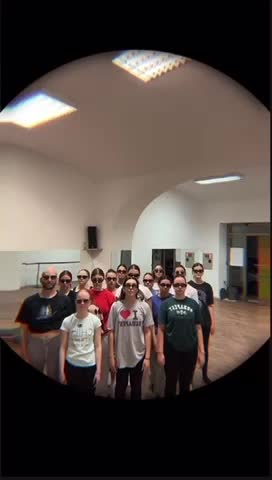 @plesna grupa flame
