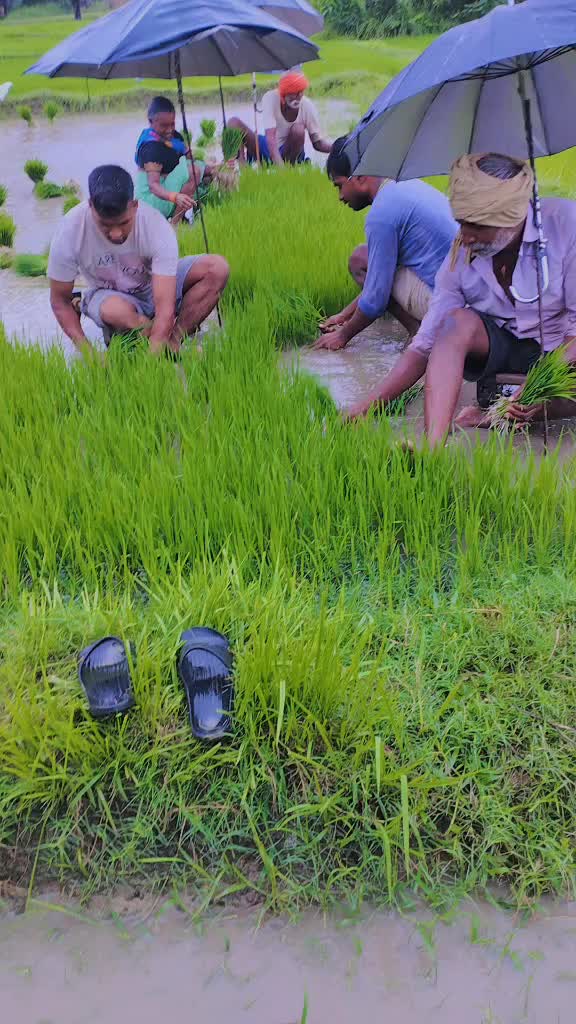 @Satya Yadav