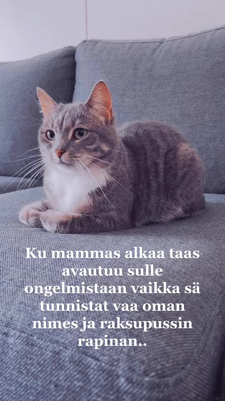 @mmawika