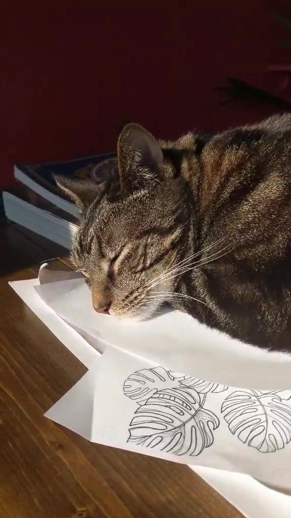@Greeneyedkitties