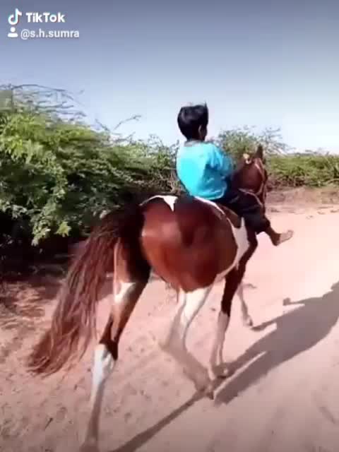@s.h.sumra786