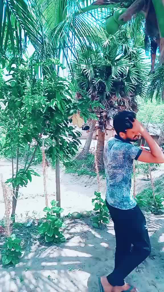 @gopalkrushna