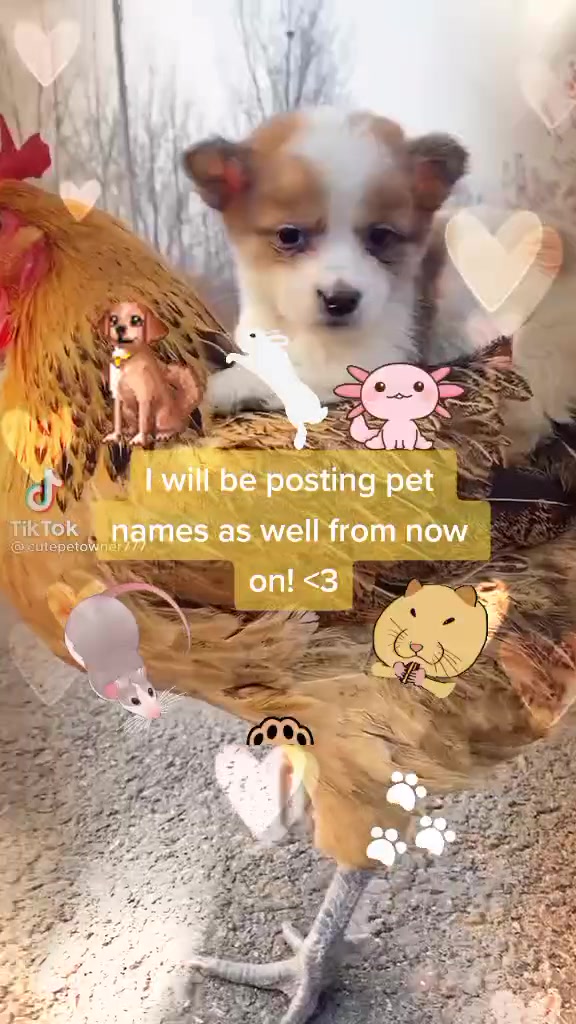 @<3