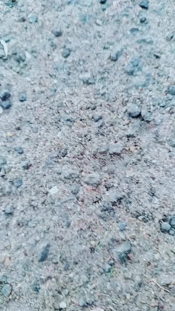 @Vk.Vijayakumar