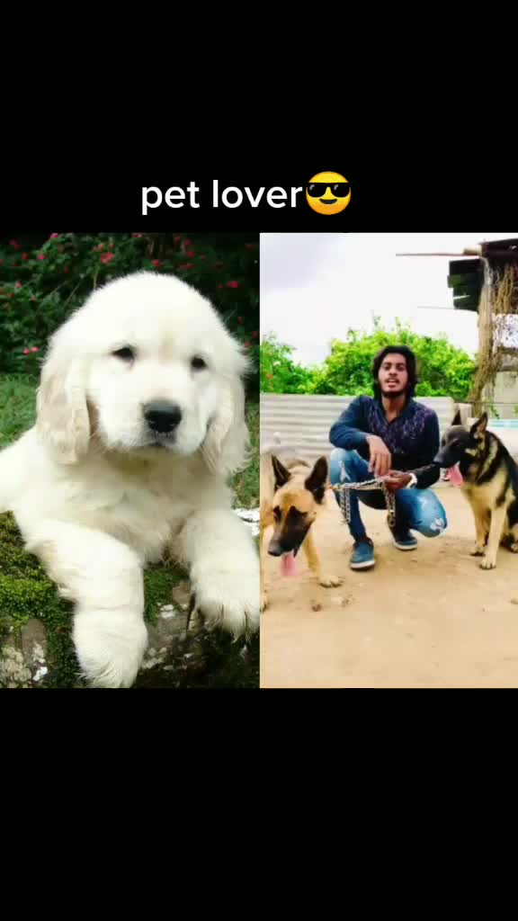 @❤️lovely_uday❤️