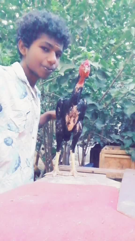 @Sekaraia E Vimal