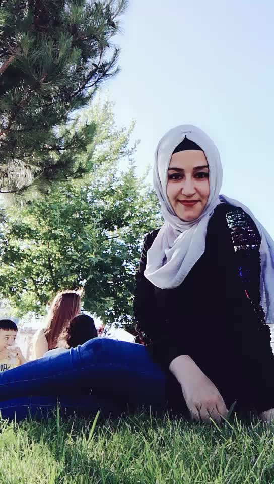 @baharucar1711