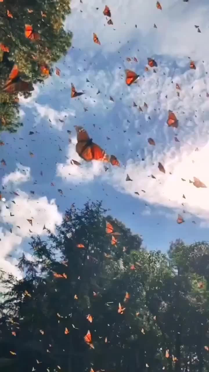 @♥️ 🇷 🇮 🇲 🇦 ❤️