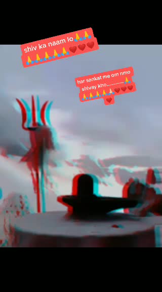 @vasundhra behl
