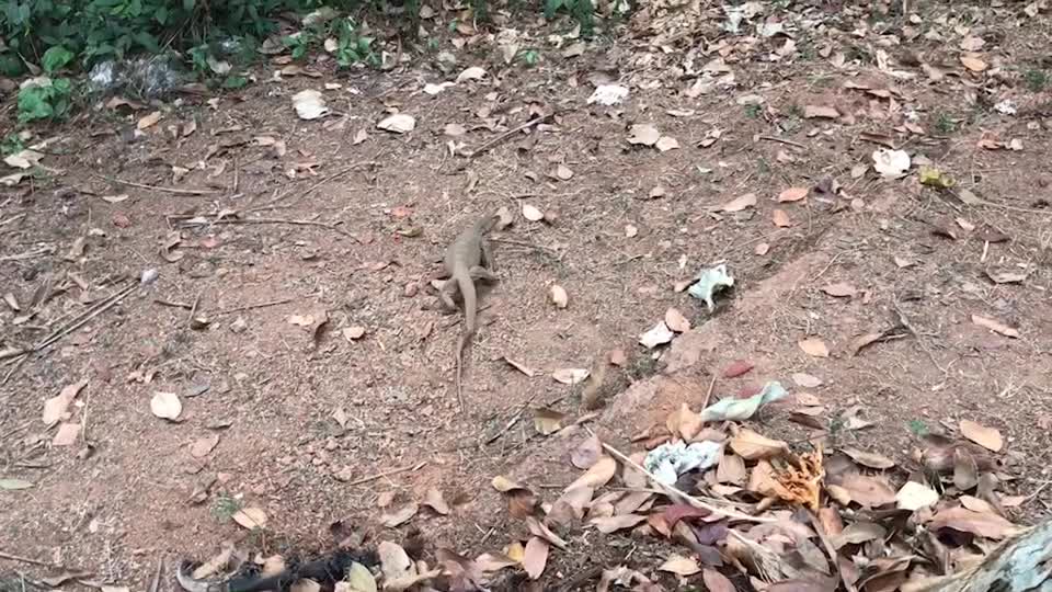 @Travelvibes