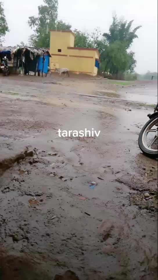@shivratan patel