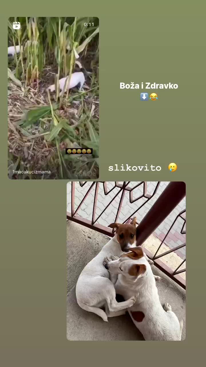 @nevena18