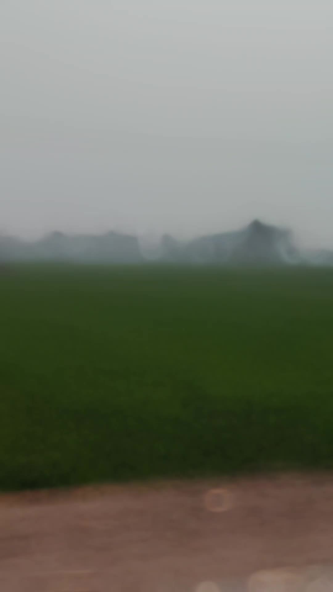 @7zBerlin