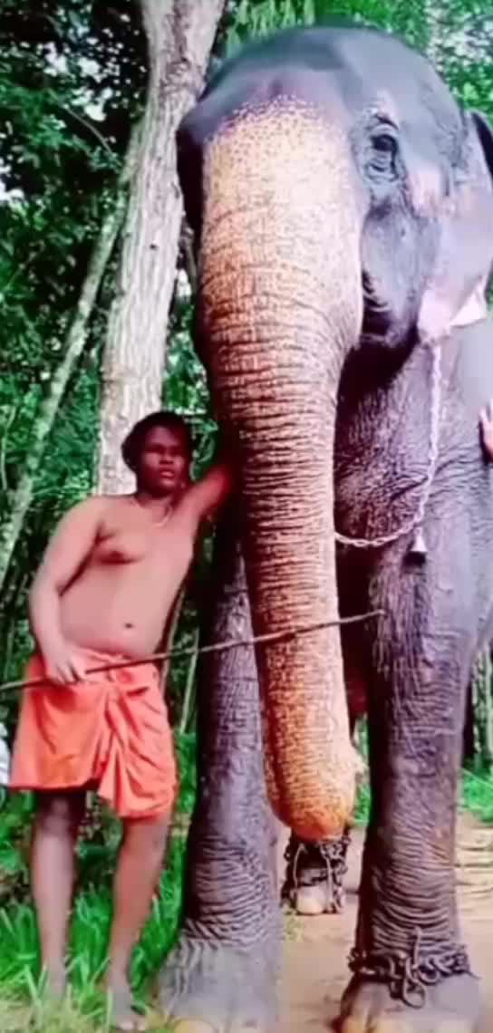 @sujith babu