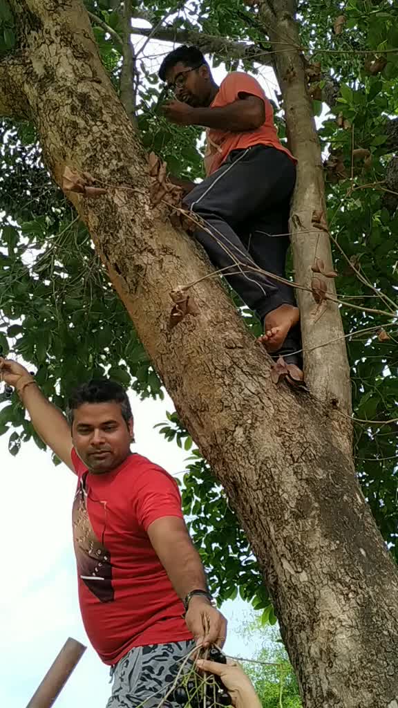 @Priya Singh