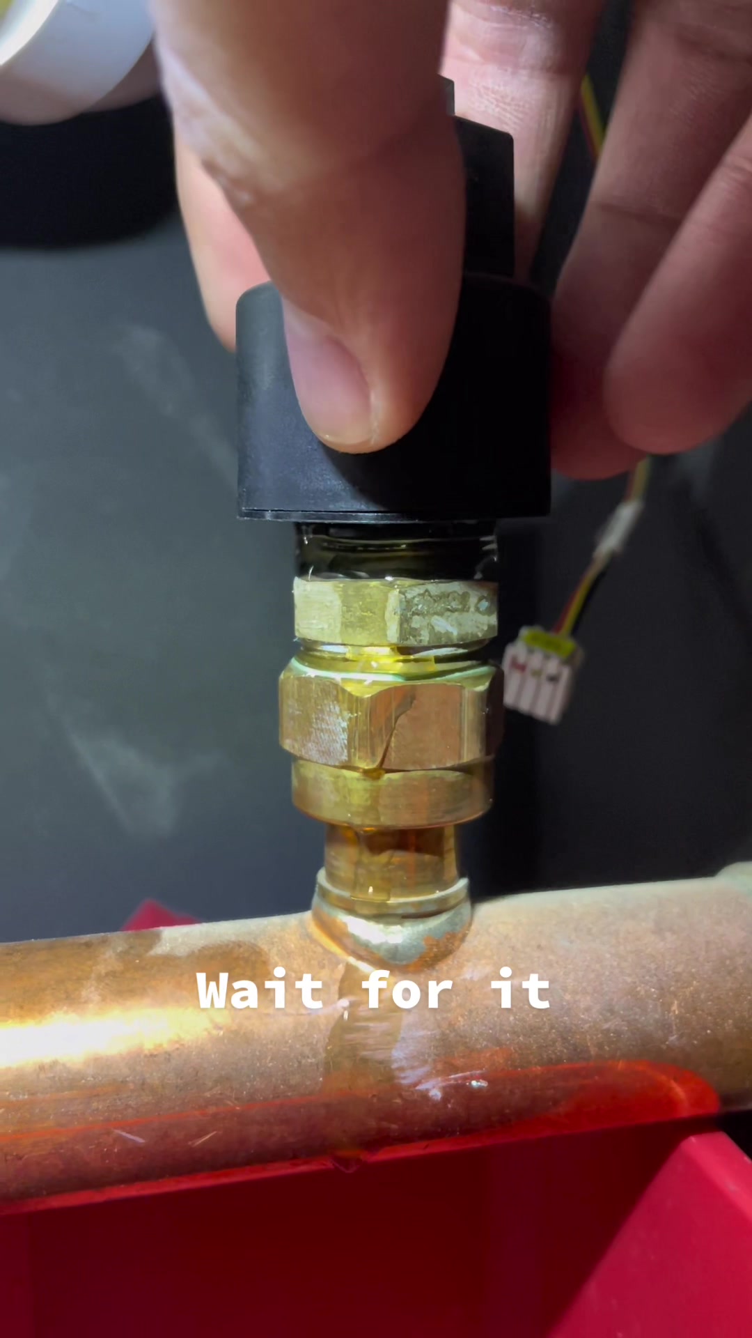 @Dario Plumbing