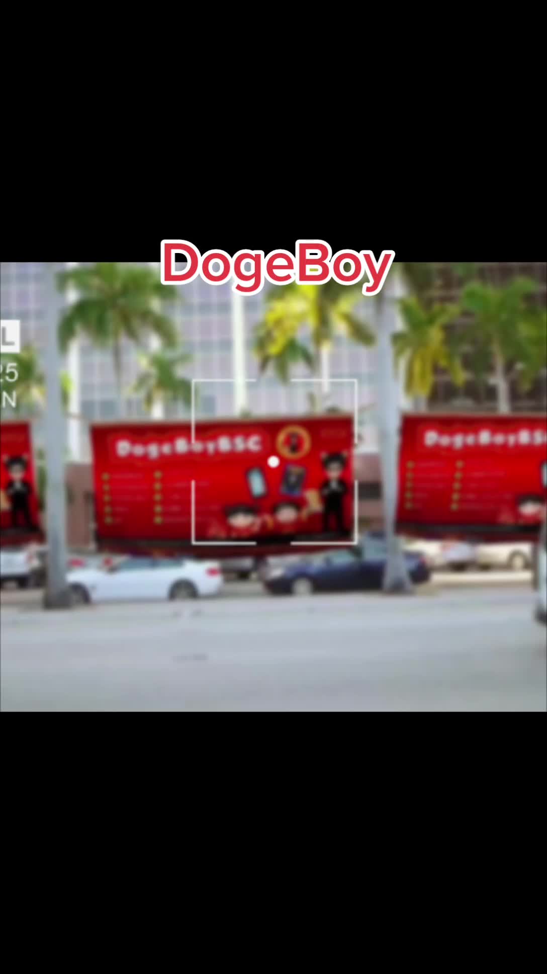 @DOGEBOY