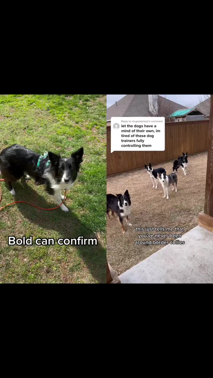 @KolskiBunch