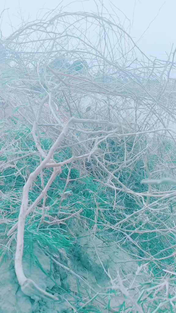 @Rambir Saharan