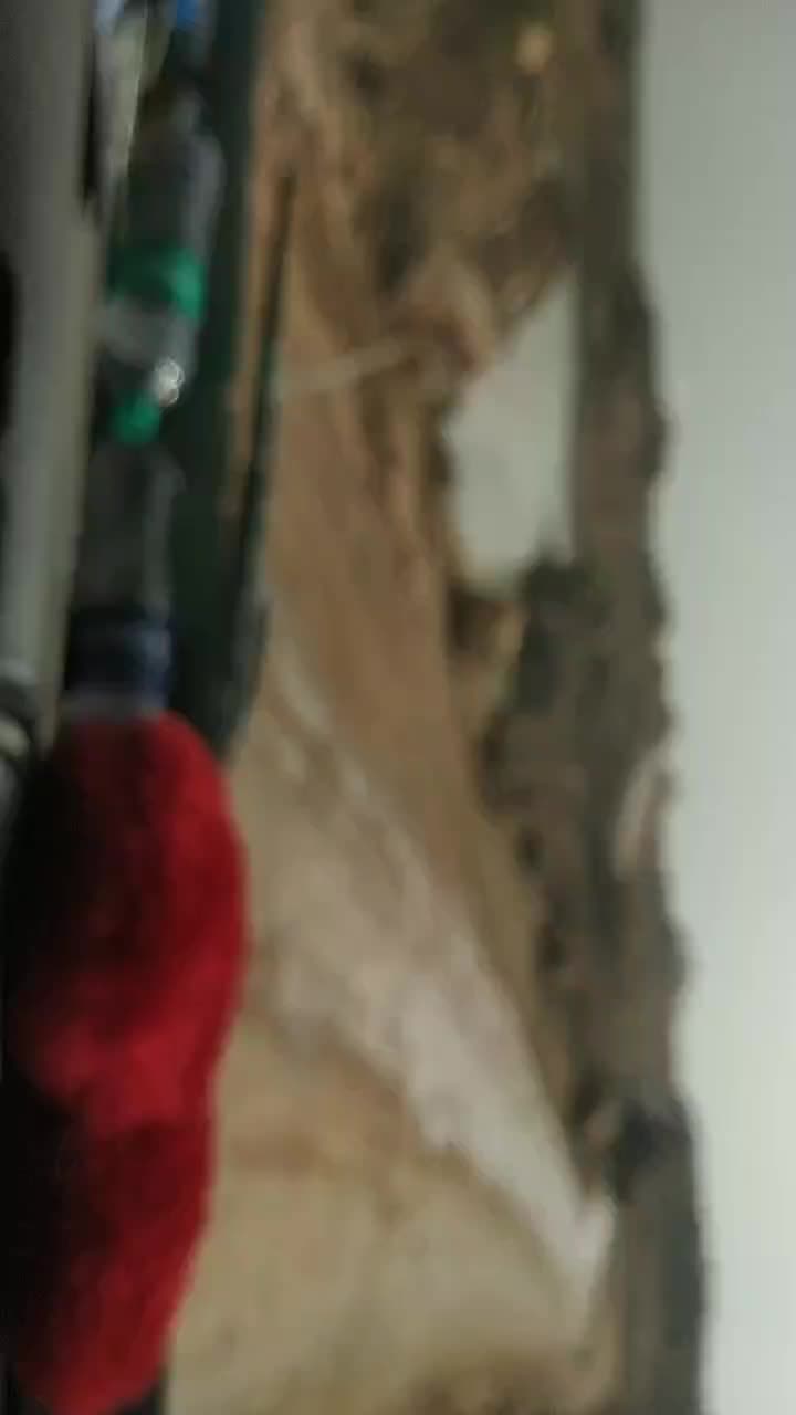 @user8441784839281