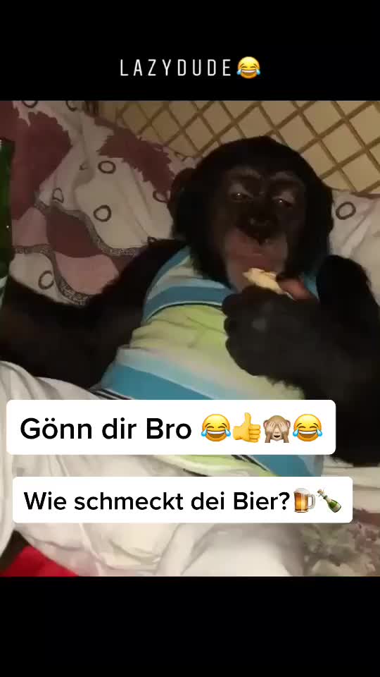 @mahdifayazi69