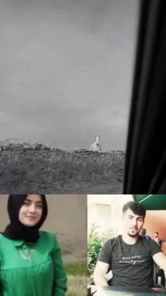 @Hasan Şahin