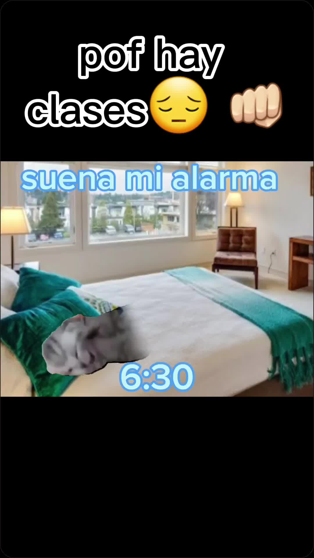 @srlentes2