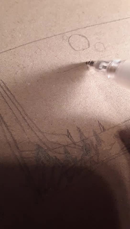 @jawidiot