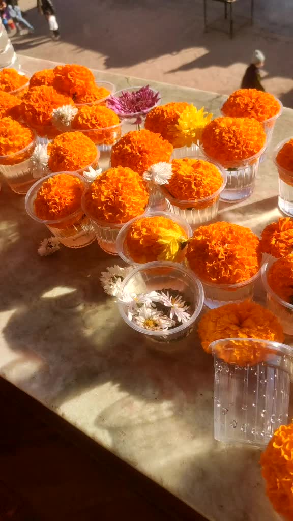@Panipuri🤓