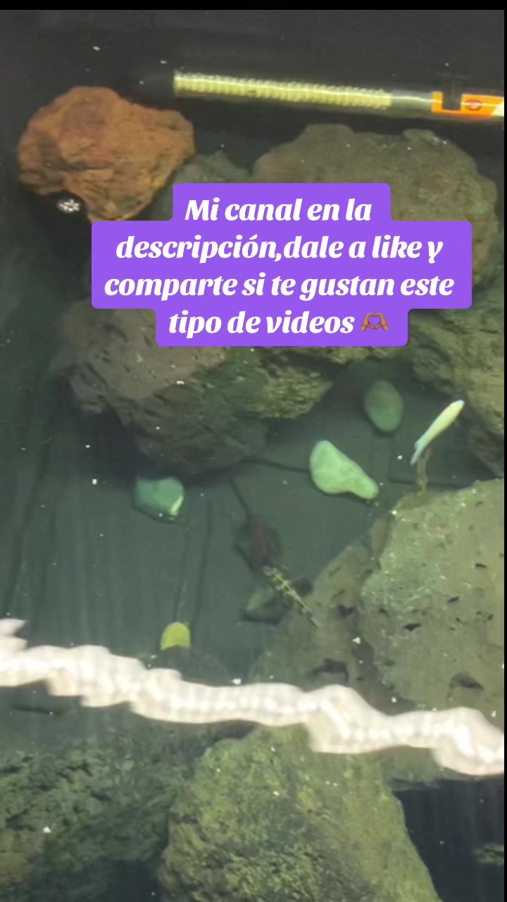 @JhonEH