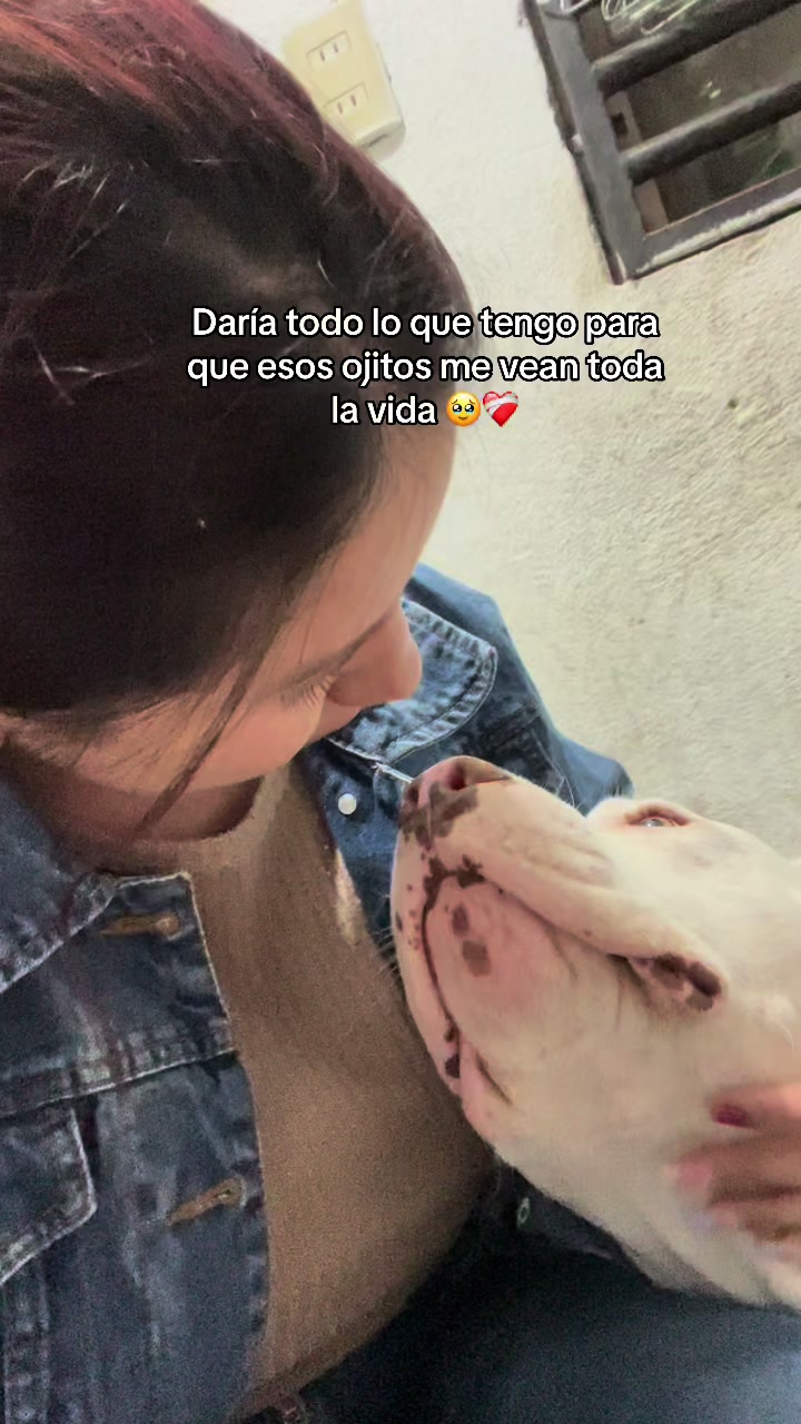@yelenaa.dyy