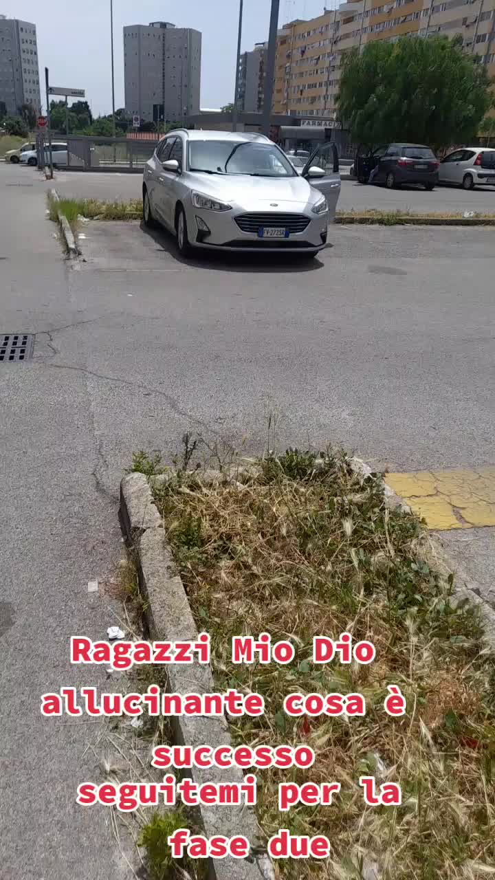 @pino real ufficial