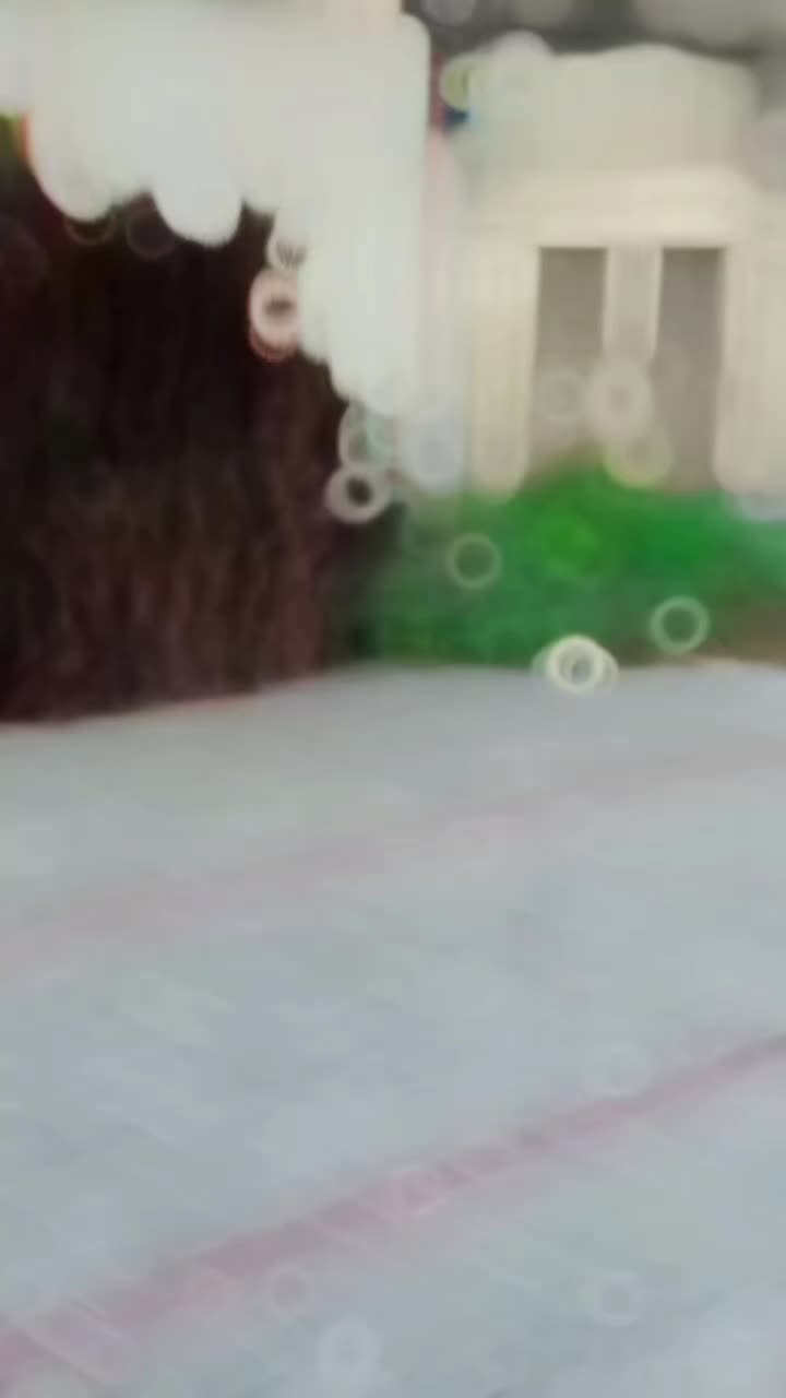 @Shayan butt