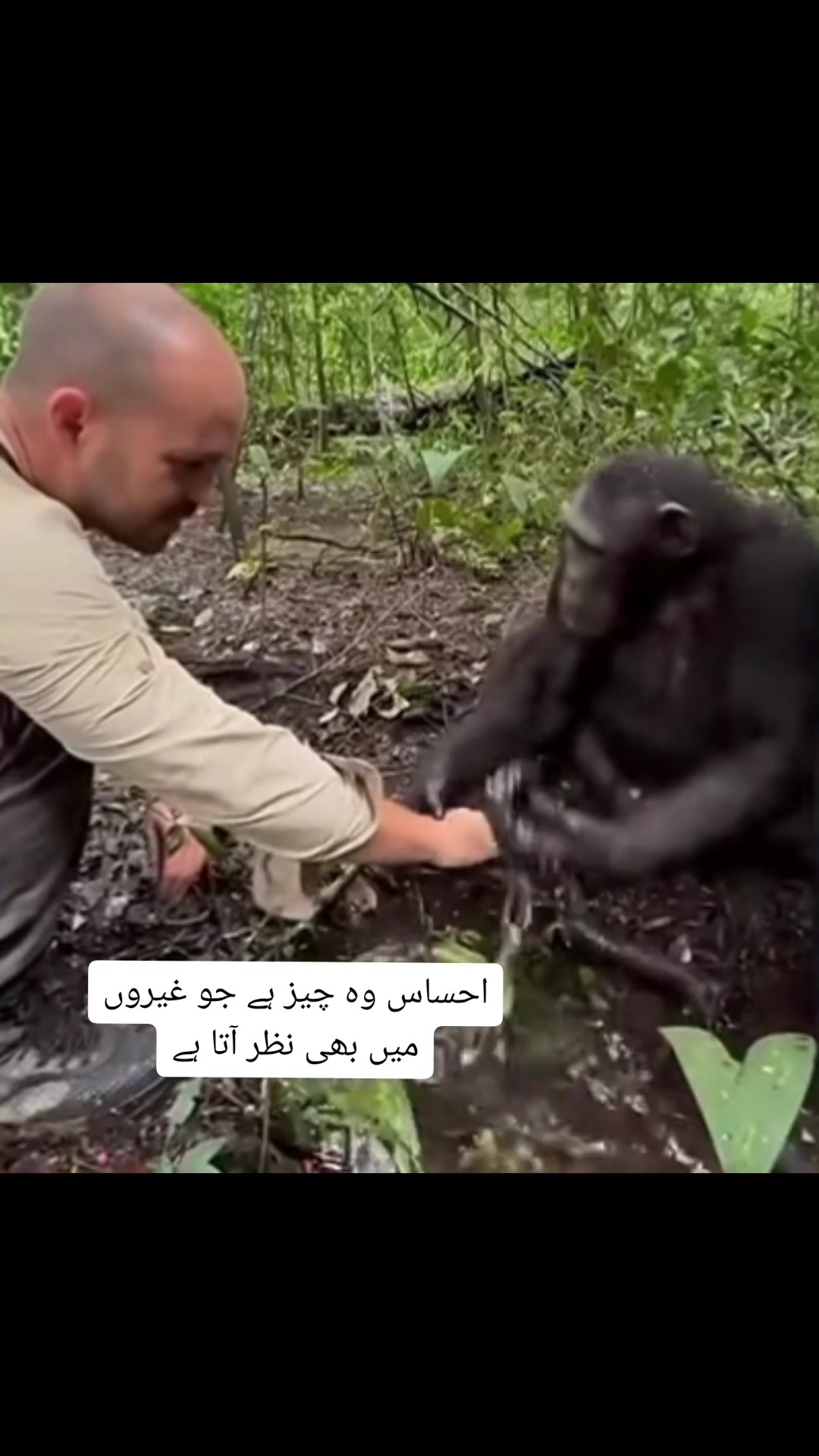@Toto.Pk